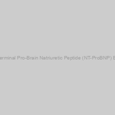 Image of Dog N-Terminal Pro-Brain Natriuretic Peptide (NT-ProBNP) ELISA Kit